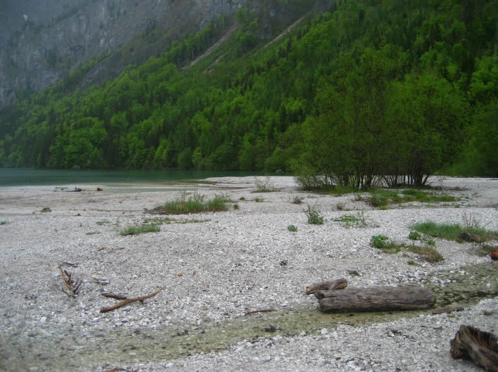 leopoldsteinersee-123.jpg