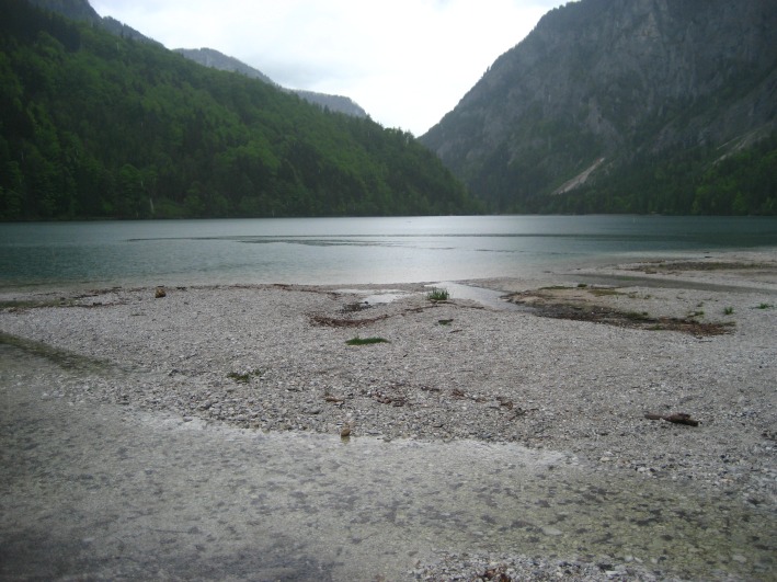 leopoldsteinersee-124.jpg