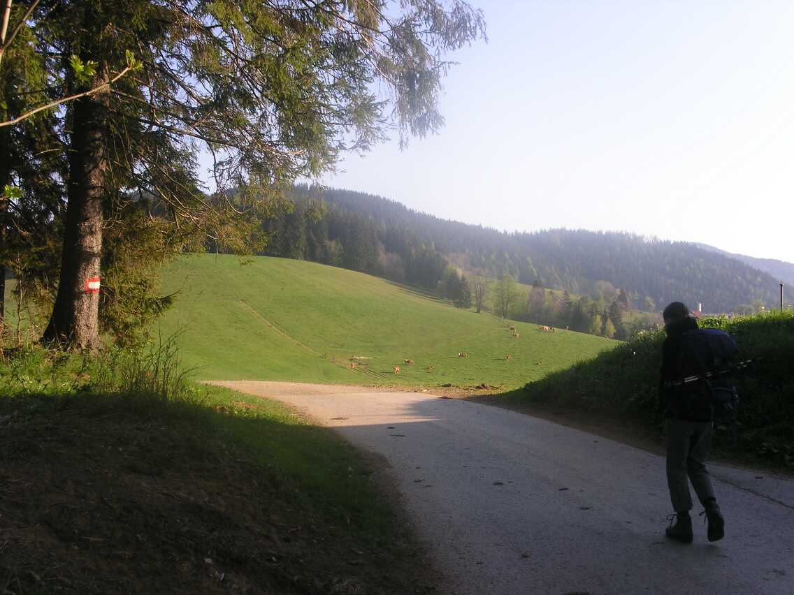 mariazellerweg-002.JPG