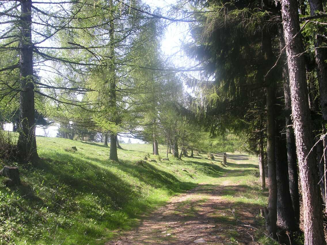 mariazellerweg-012.JPG