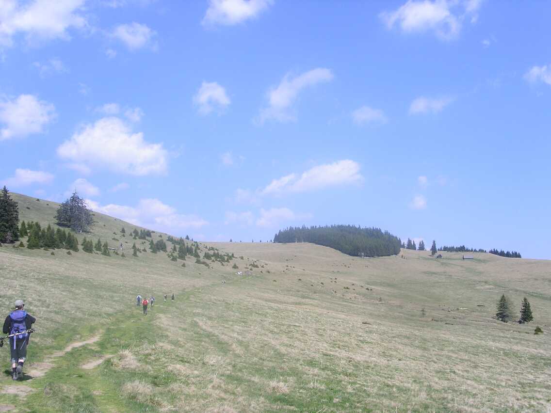 mariazellerweg-022.JPG