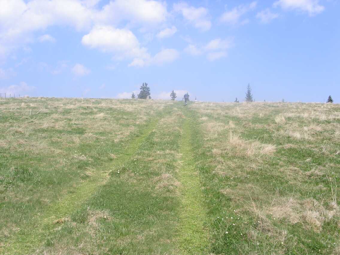 mariazellerweg-027.JPG