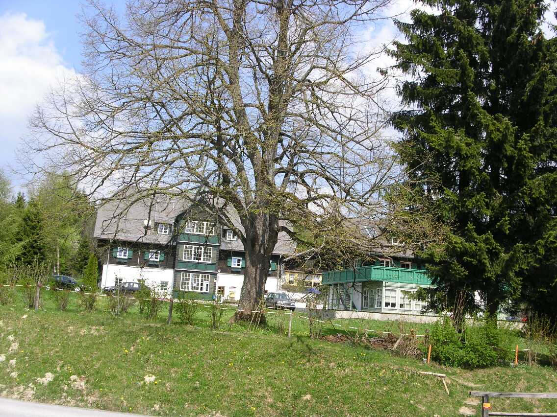 mariazellerweg-037.JPG