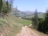 mariazellerweg-015.JPG
