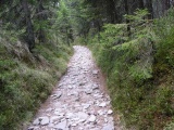 mariazellerweg-039.JPG
